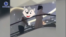 日韩 性裸体视频